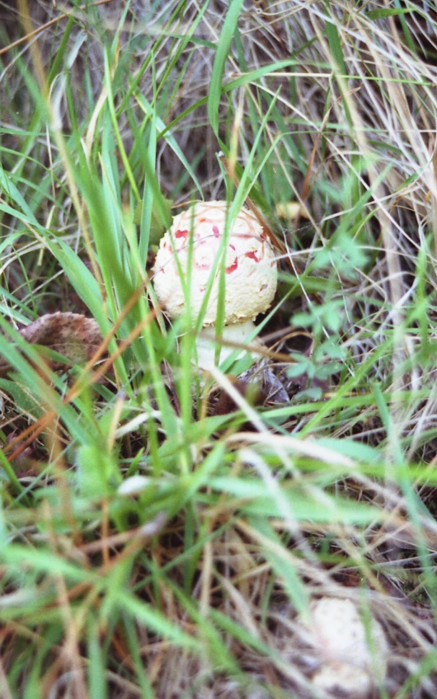 File_018.jpg