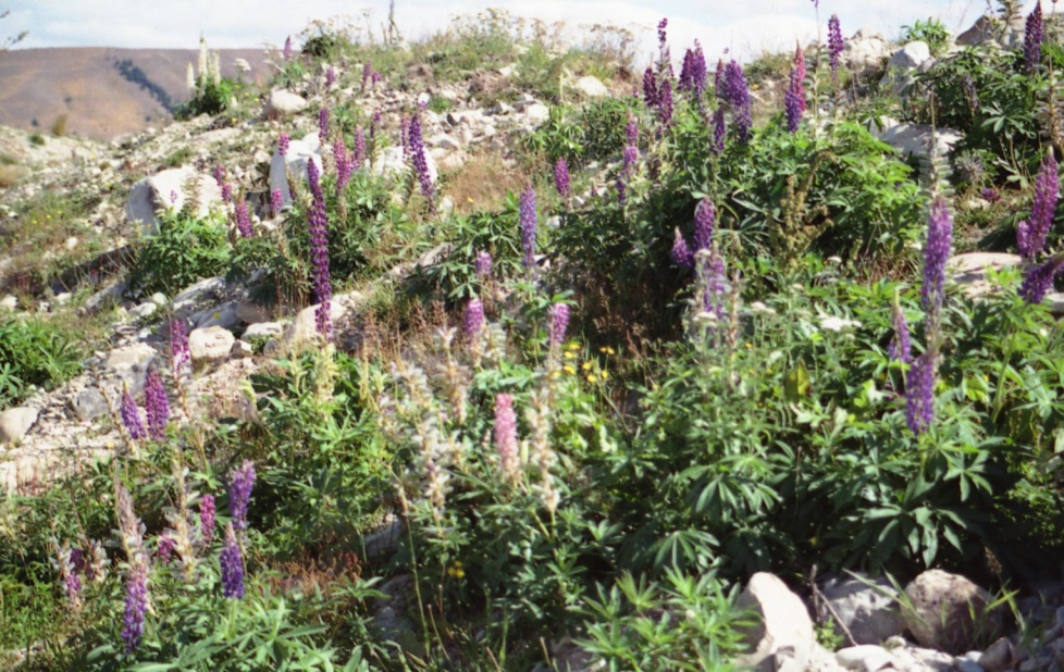 File_202.jpg